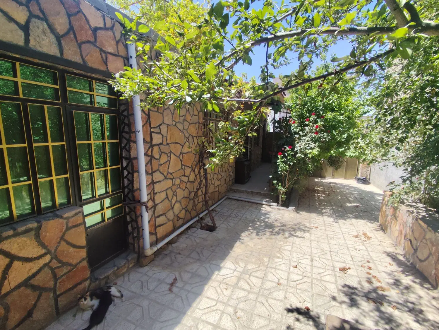 حیاط ویلایی صندل اباد 214متر