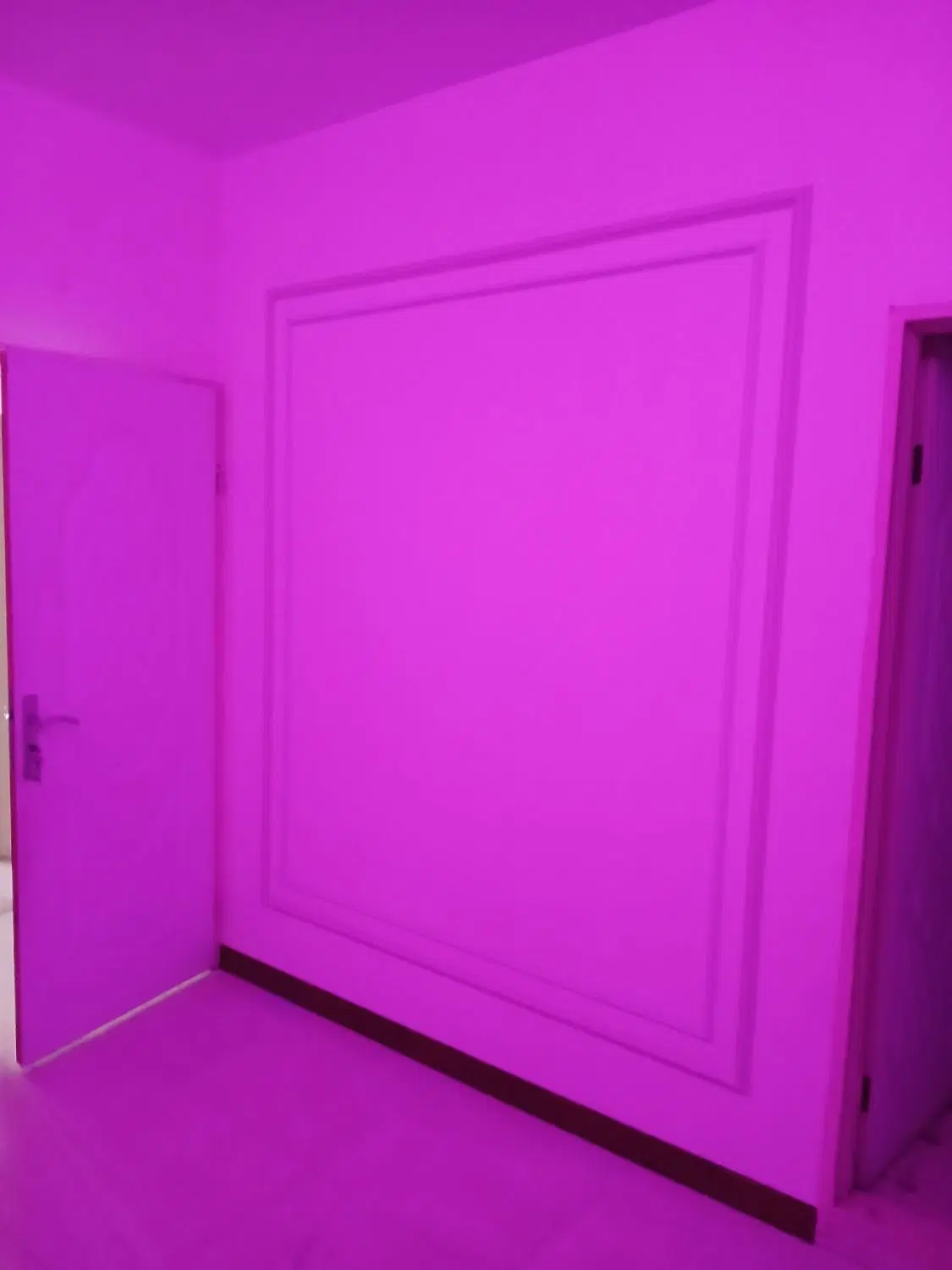 همخانه هم خونه همخونه هم خانه
