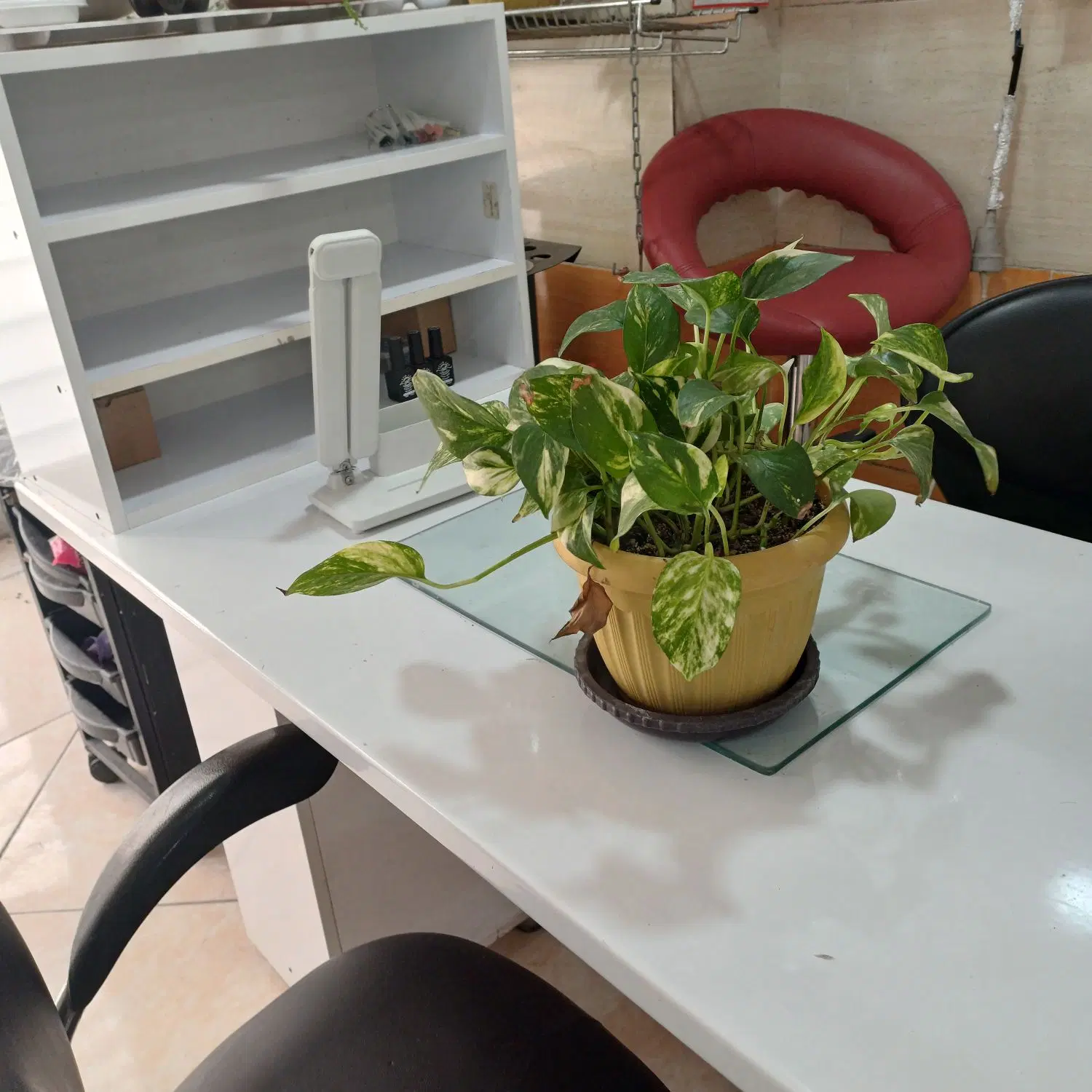 اجاره میز ناخن وتمامی لاینها مسیر حوالی ابرسان