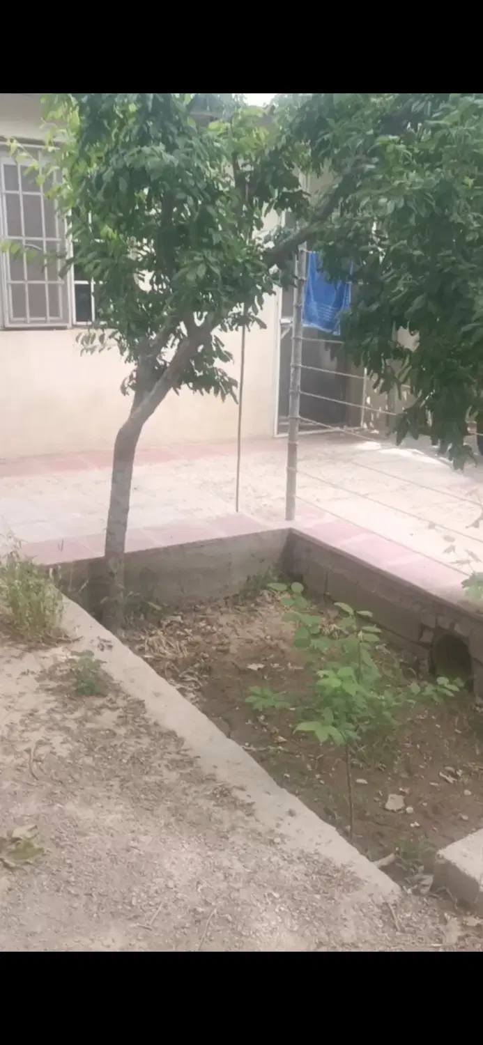 باغ ۱۲۰۰ متری