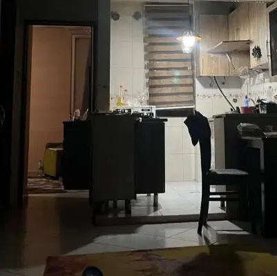 همخونه همیشگی