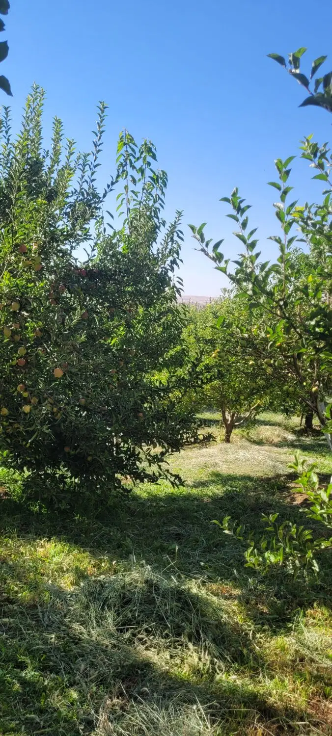زمین فرهنگیان