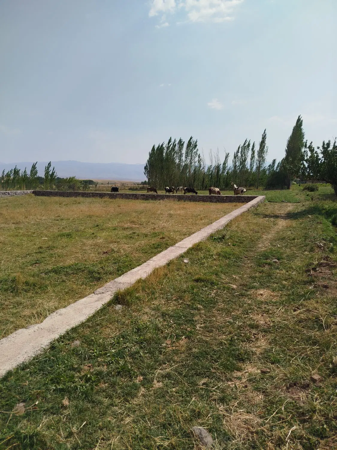 زمین ب متراژ 1520در اغمیون