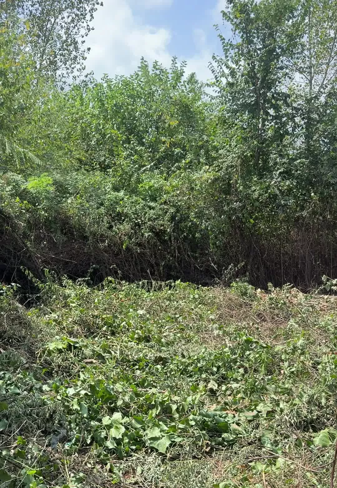 زمین فروشی