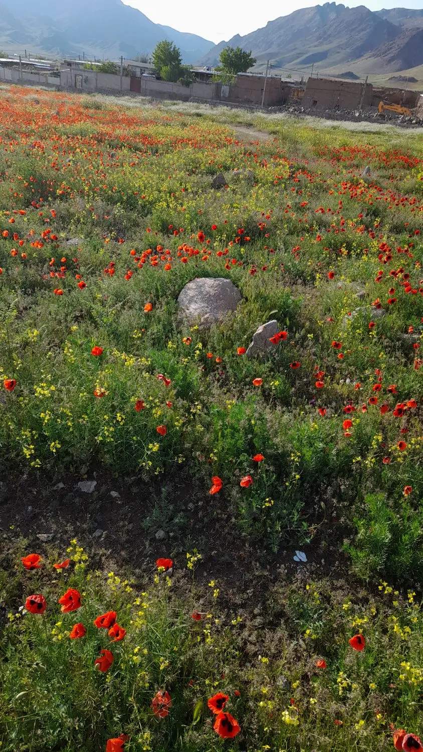 فروش زمین محصور