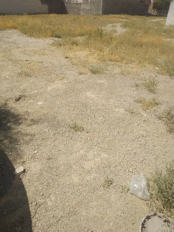 تعداد ۲۰قطعه زمین فروشی در گوهرشاد