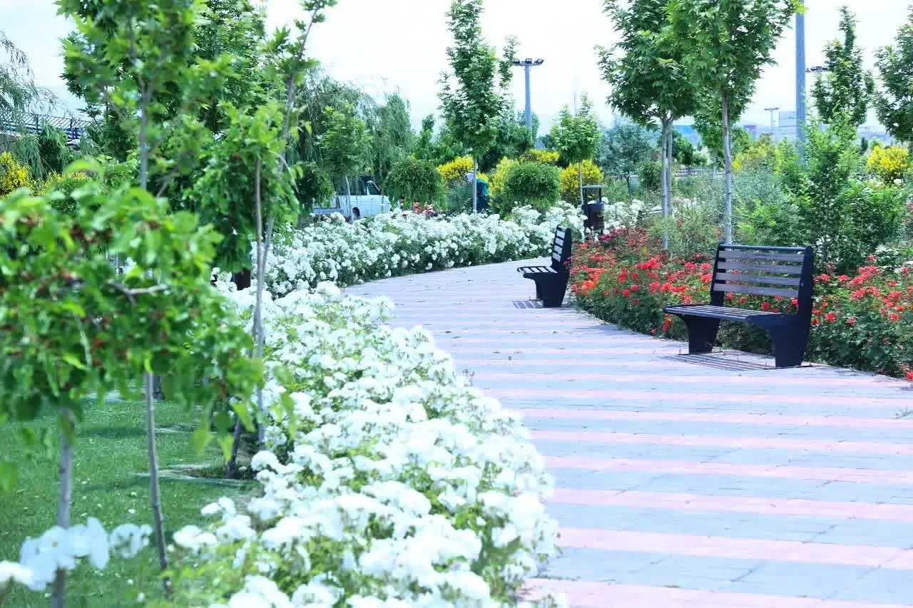 زمین مسکونی مهرگان وصال روبروی پارک بهشت