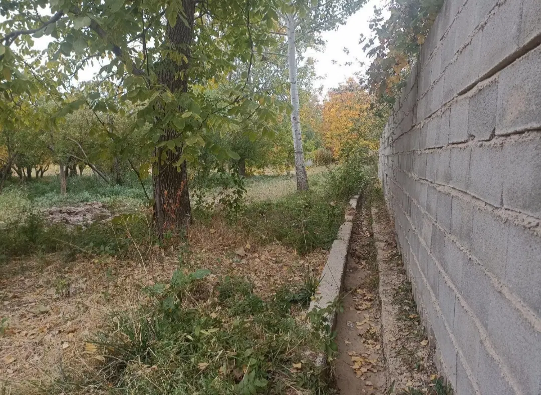 باغ سپیدان شیربابا