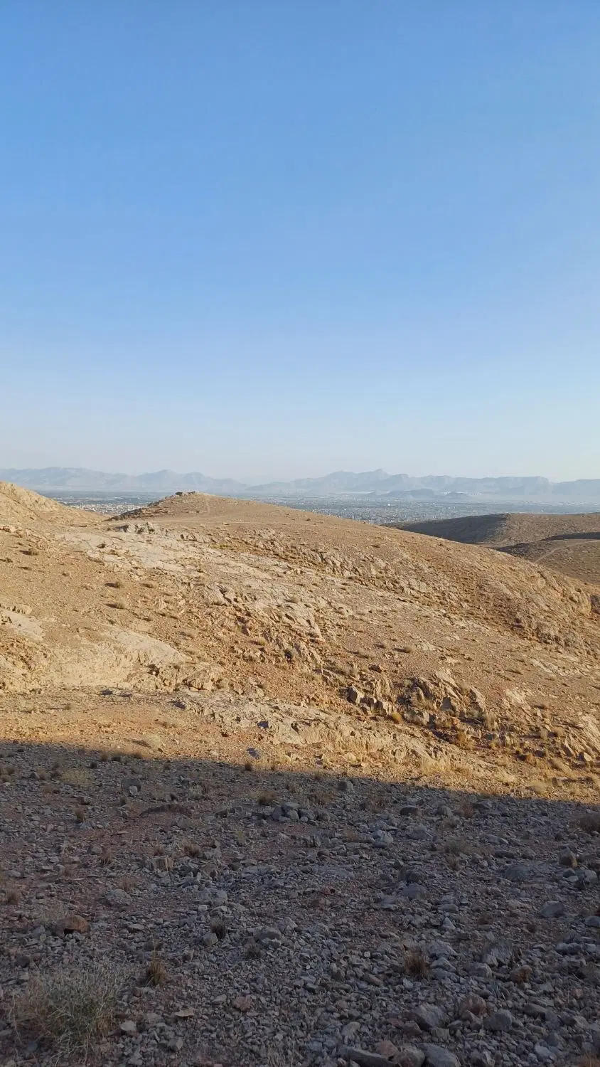 زمین مناسب کارگاهی وسوله