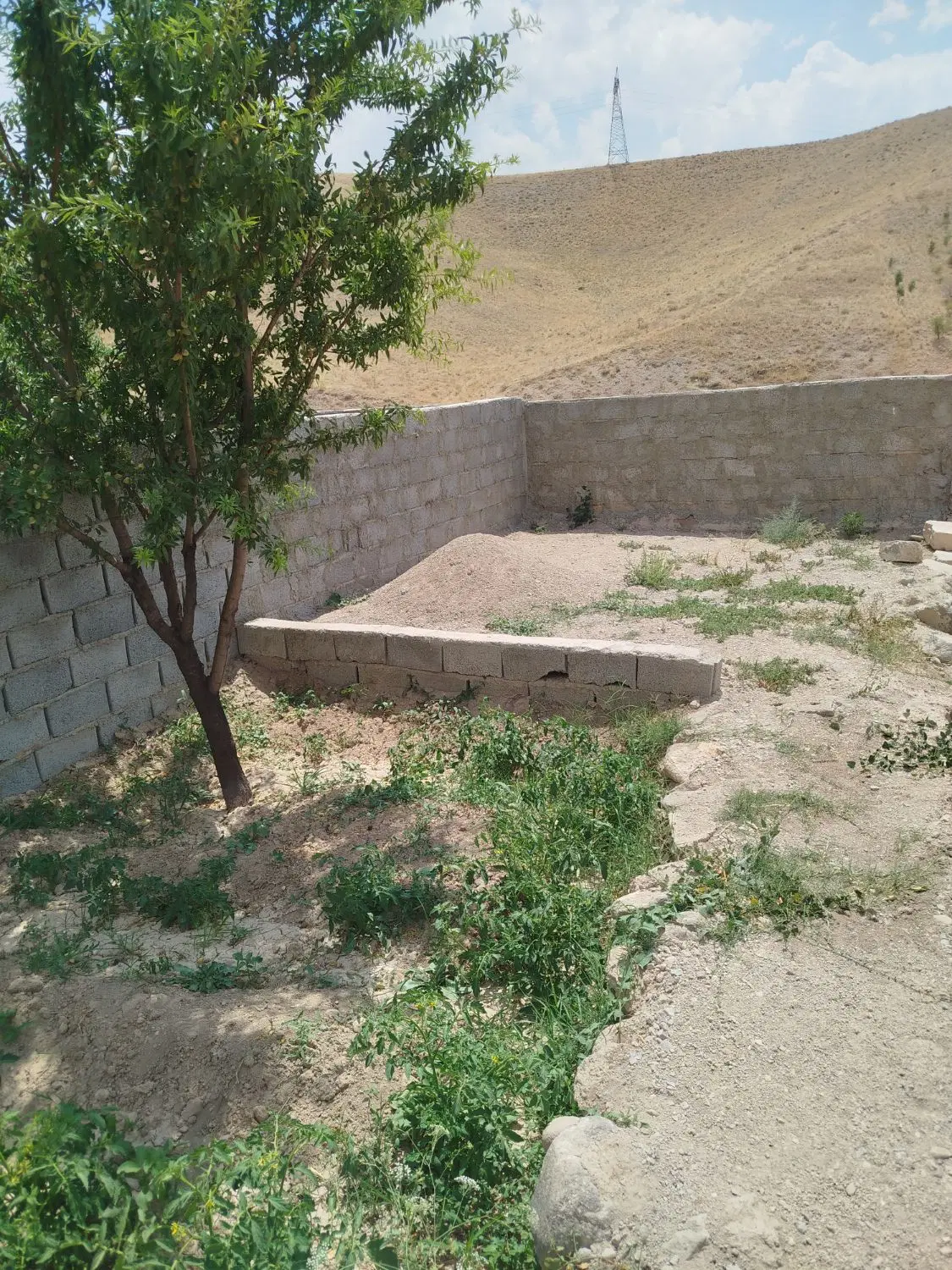 باغ در جاده کرجان