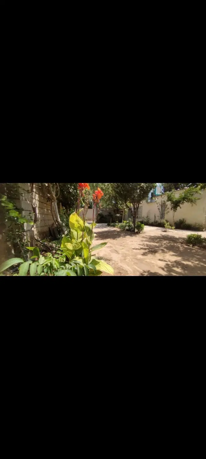 اجاره سوئیت روزانه سهیلیه