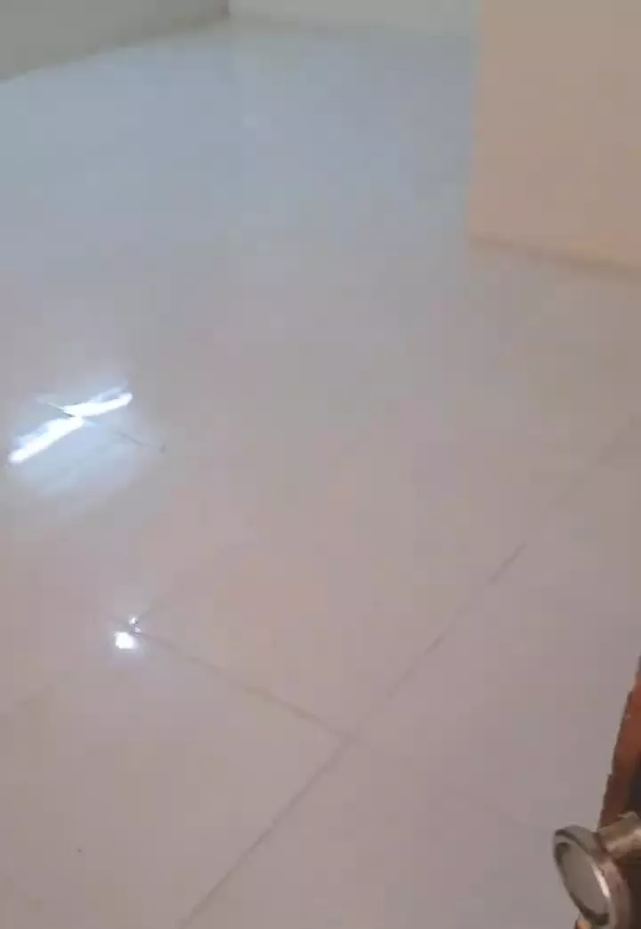 اجاره_آپارتمان_صدف۲۴