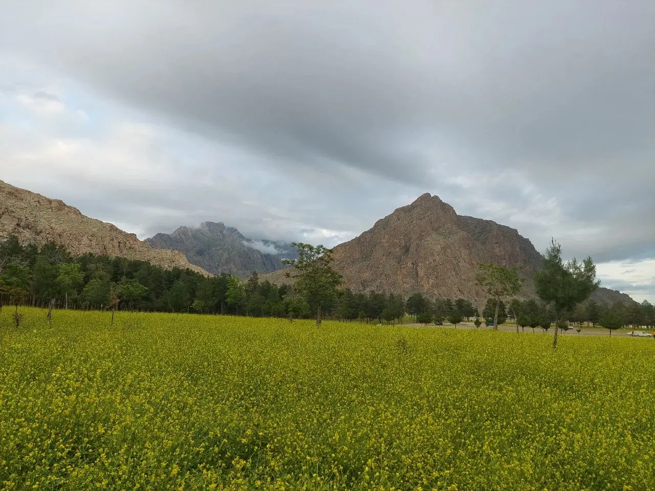 زمین آرد جرعه