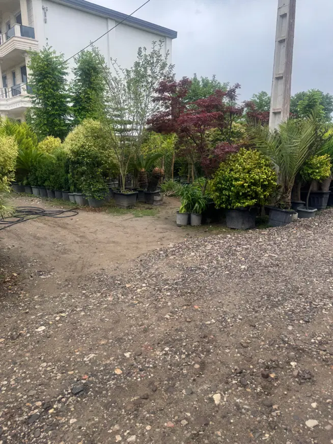 ۲۵۰ متر زمین سند تک برگ تازه آباد