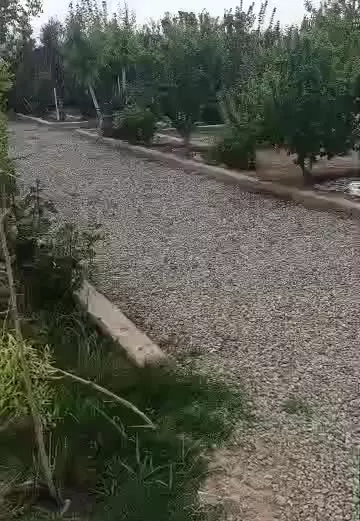 باغچه ۷۵۰ متری