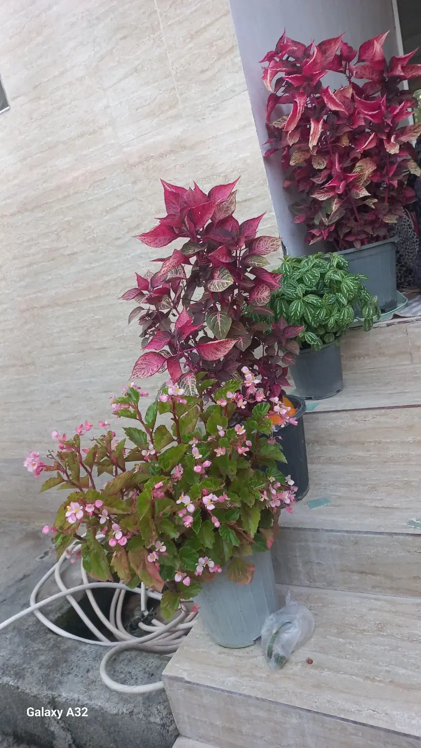 اجاره ویلا روستا ۳۵۰ متر تازه ساخت (شفت رشت)