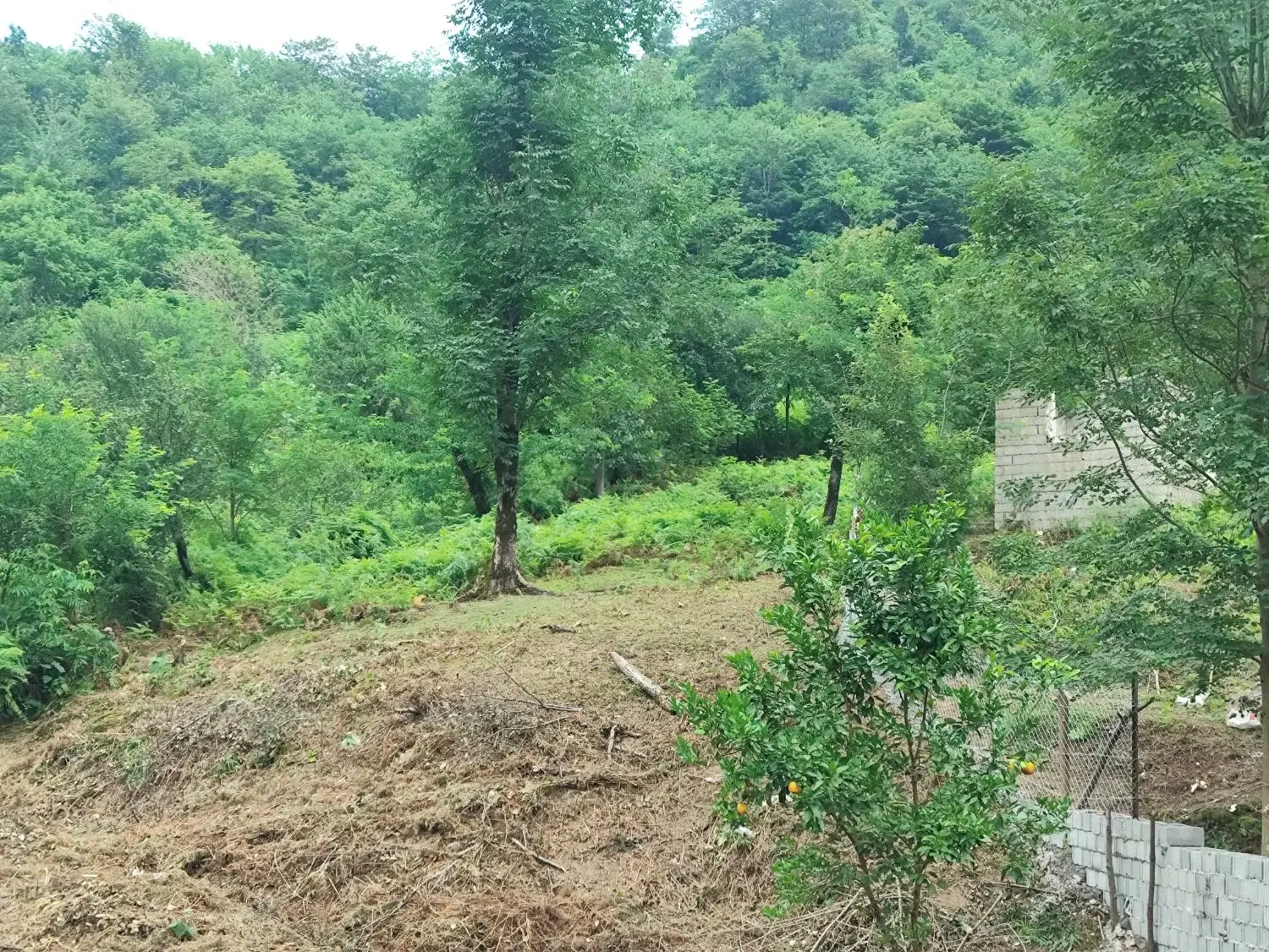 زمین فروشی