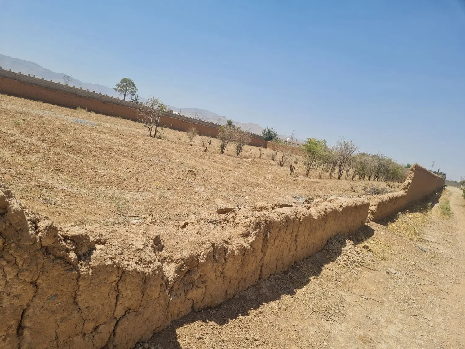 فروش زمین زراعی بعد از دادگستری نجف آباد