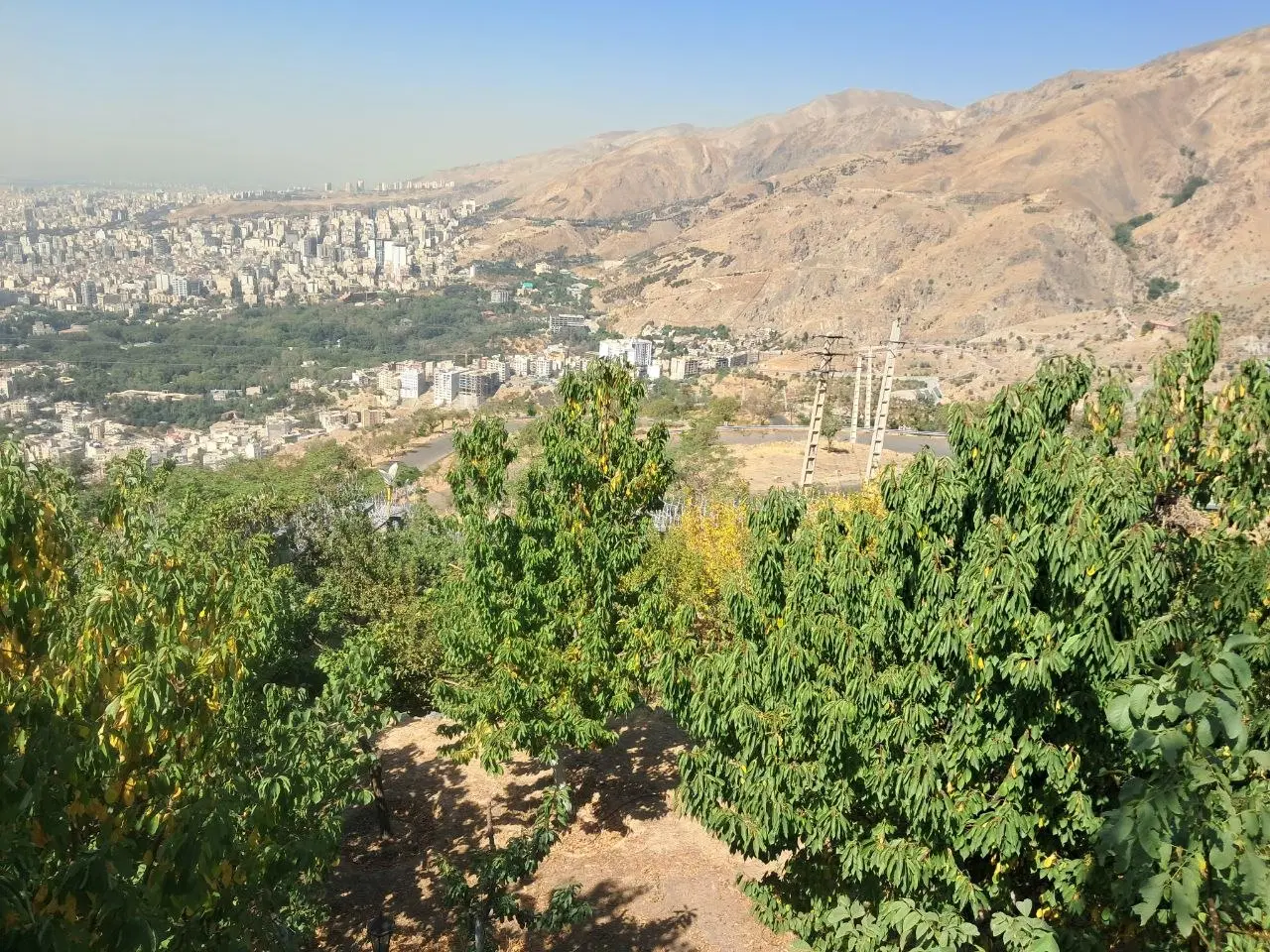 دستغیب خوش نقشه