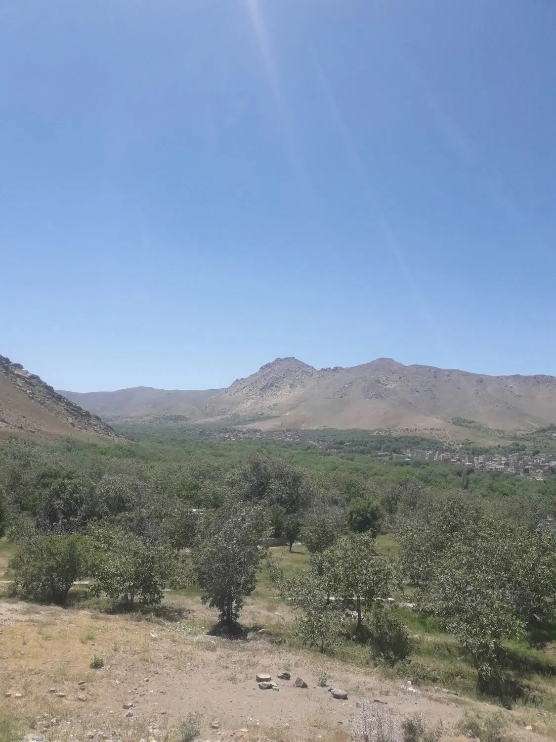 زمین پردیسان