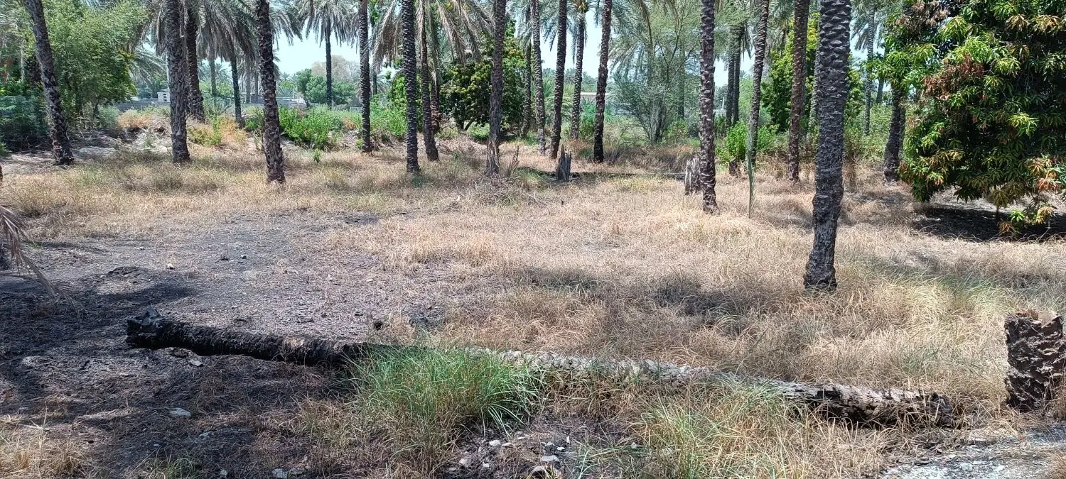 زمین باغ