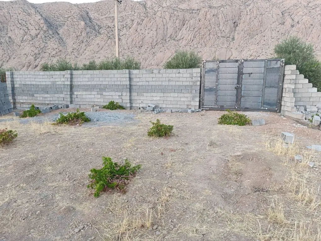 زمین باغی