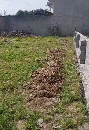 زمین مسکونی ۴۰۰ متری بندر امیر اباد