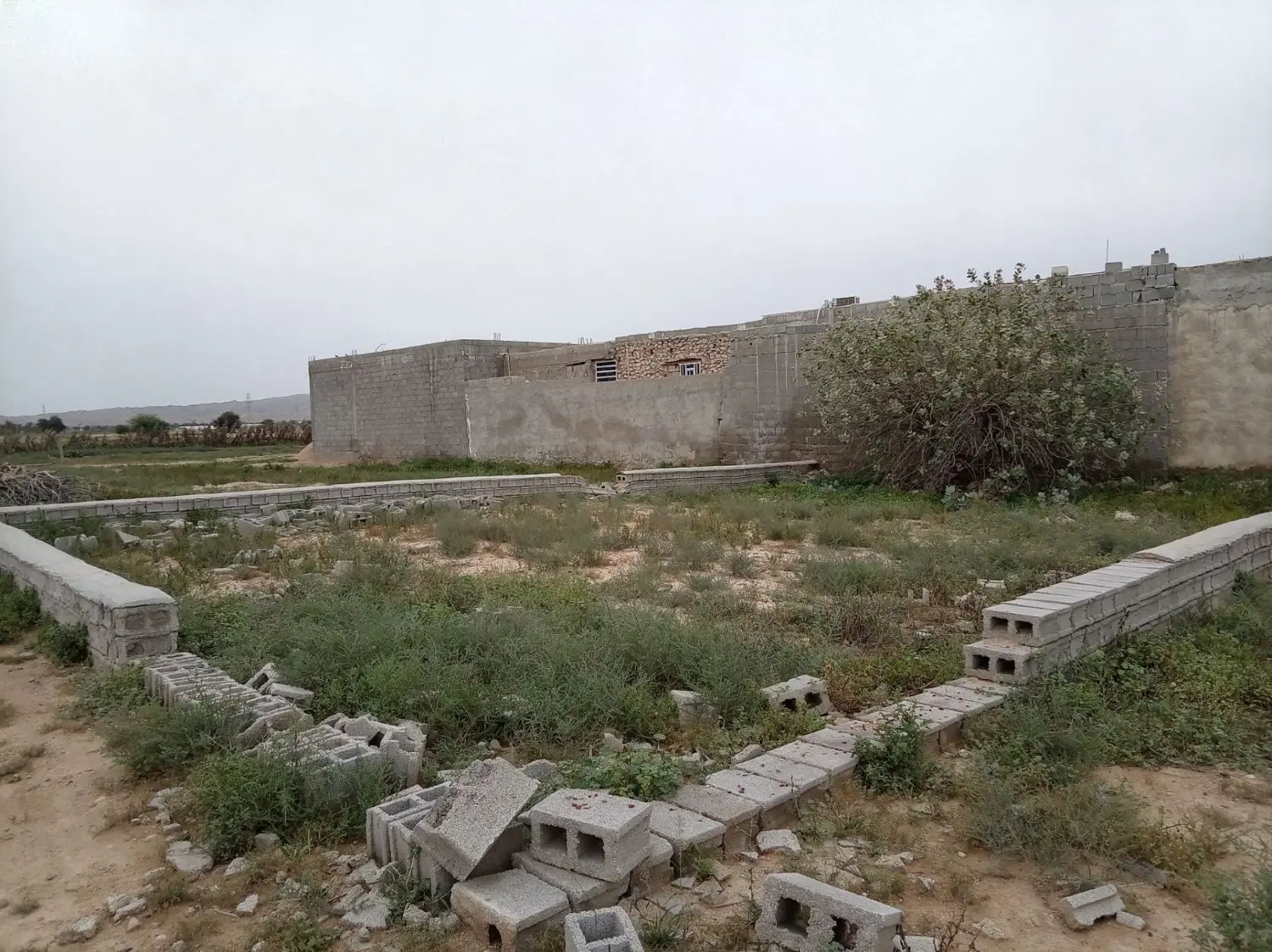 زمین بادوله