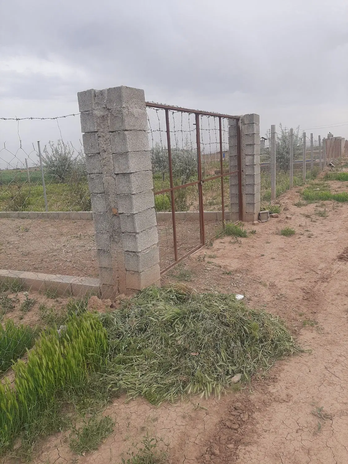 ۲۰۰۰ متر باغ نزدیک روستا نیم ساعت آب هفتگی شش اینچ