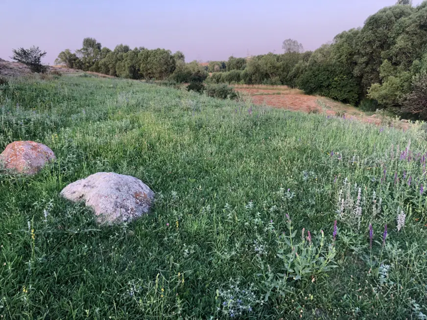 زمین باغ بهشت