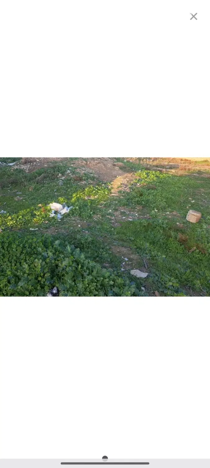 زمین بسیجیان قطعه ۲۸۴ سر بیست متری