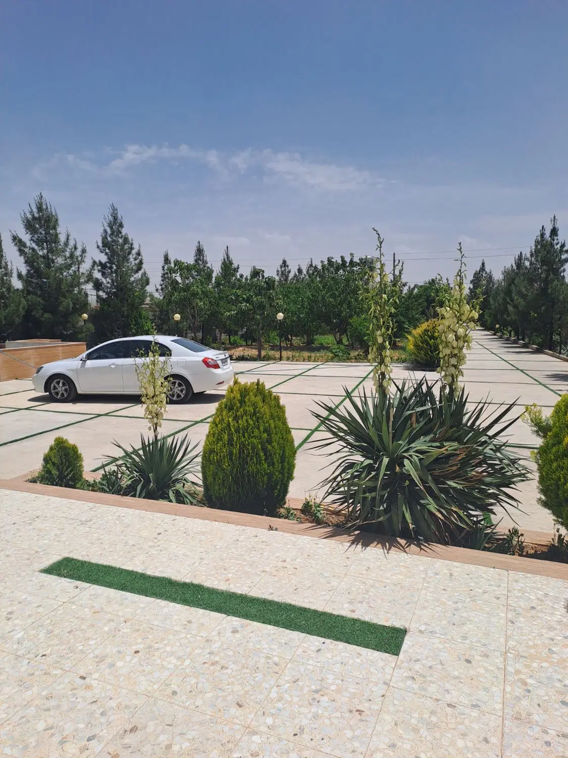 باغ شهری گود گویم