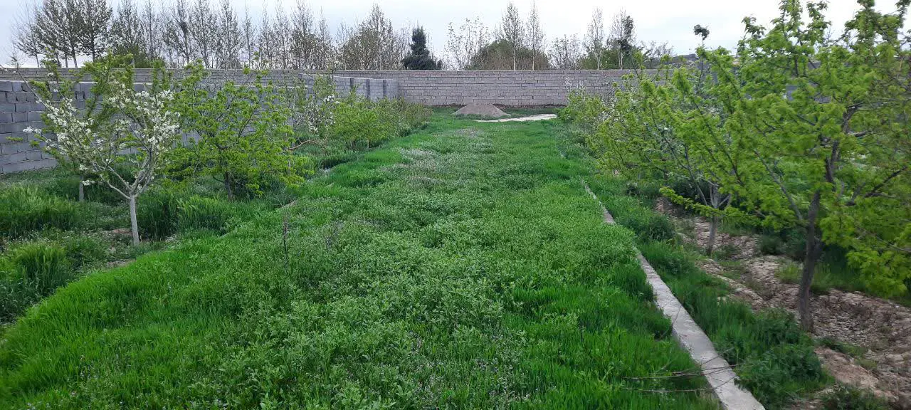 زمین شاهنامه ۷۶
