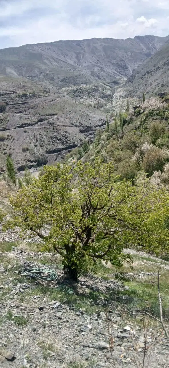 زمین فروشی