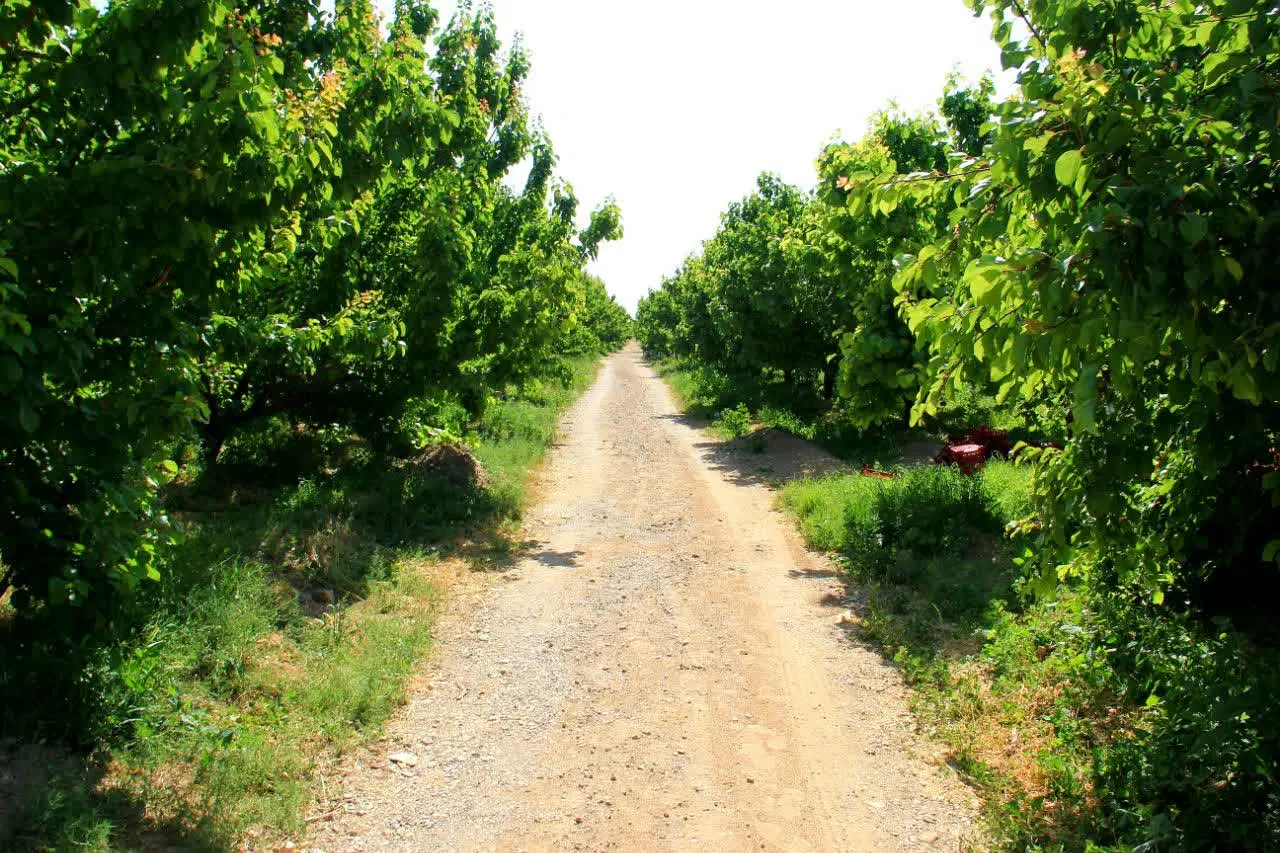 فروش زمین