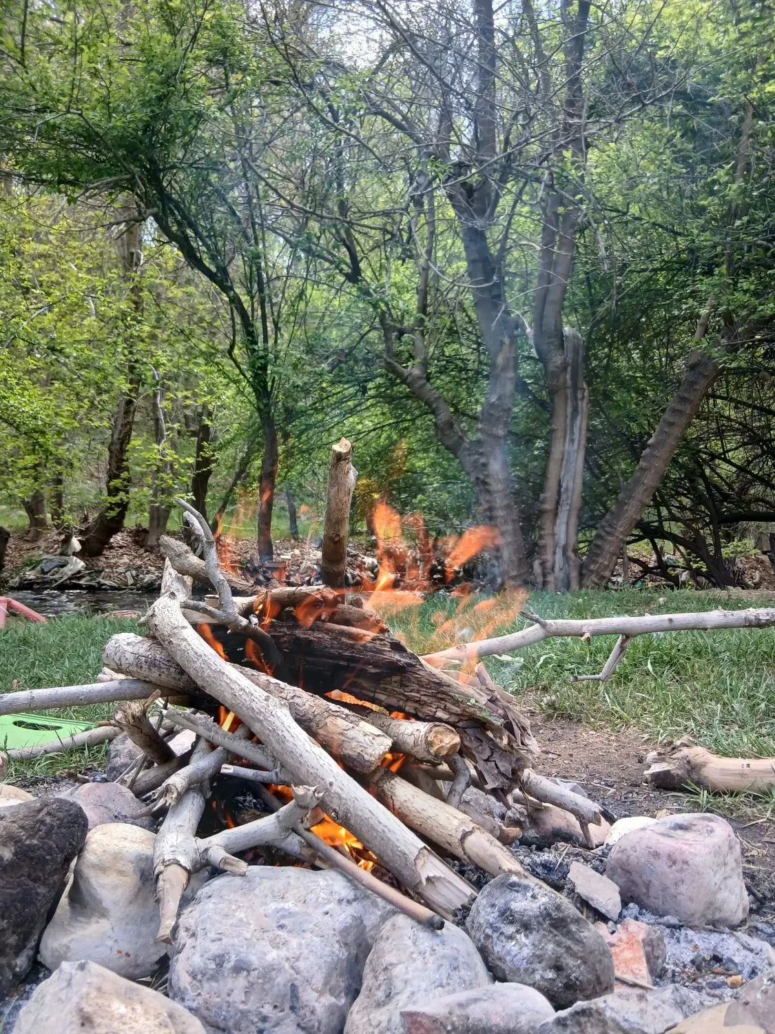 باغ ثمری کیان اباد