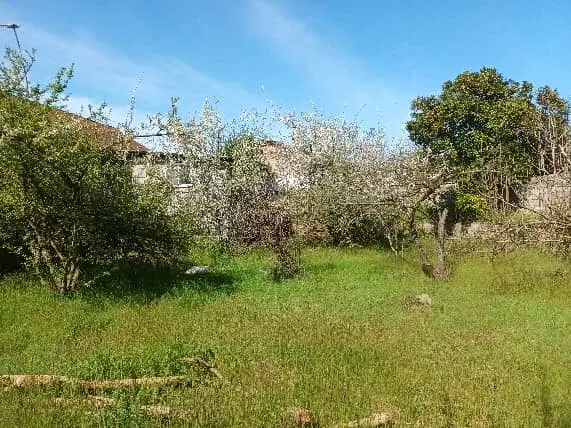 خانه باغ روستایی بسیار زیباو ارام