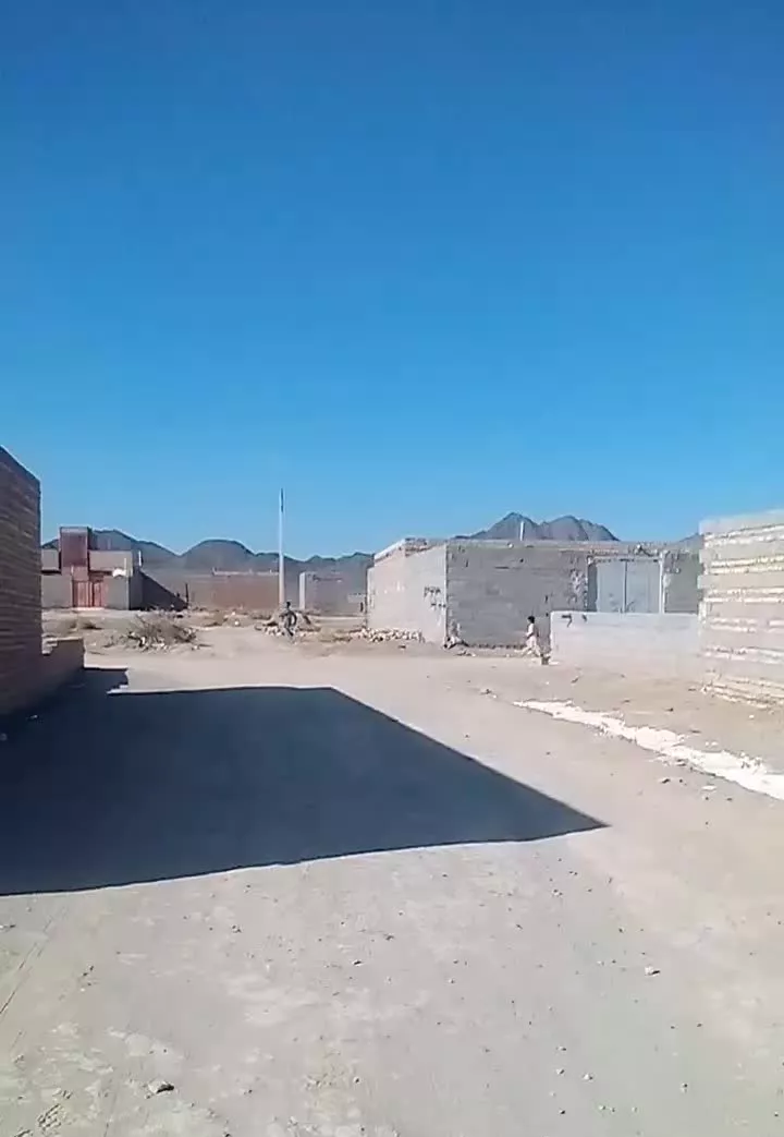 زمین چای رحمان لار