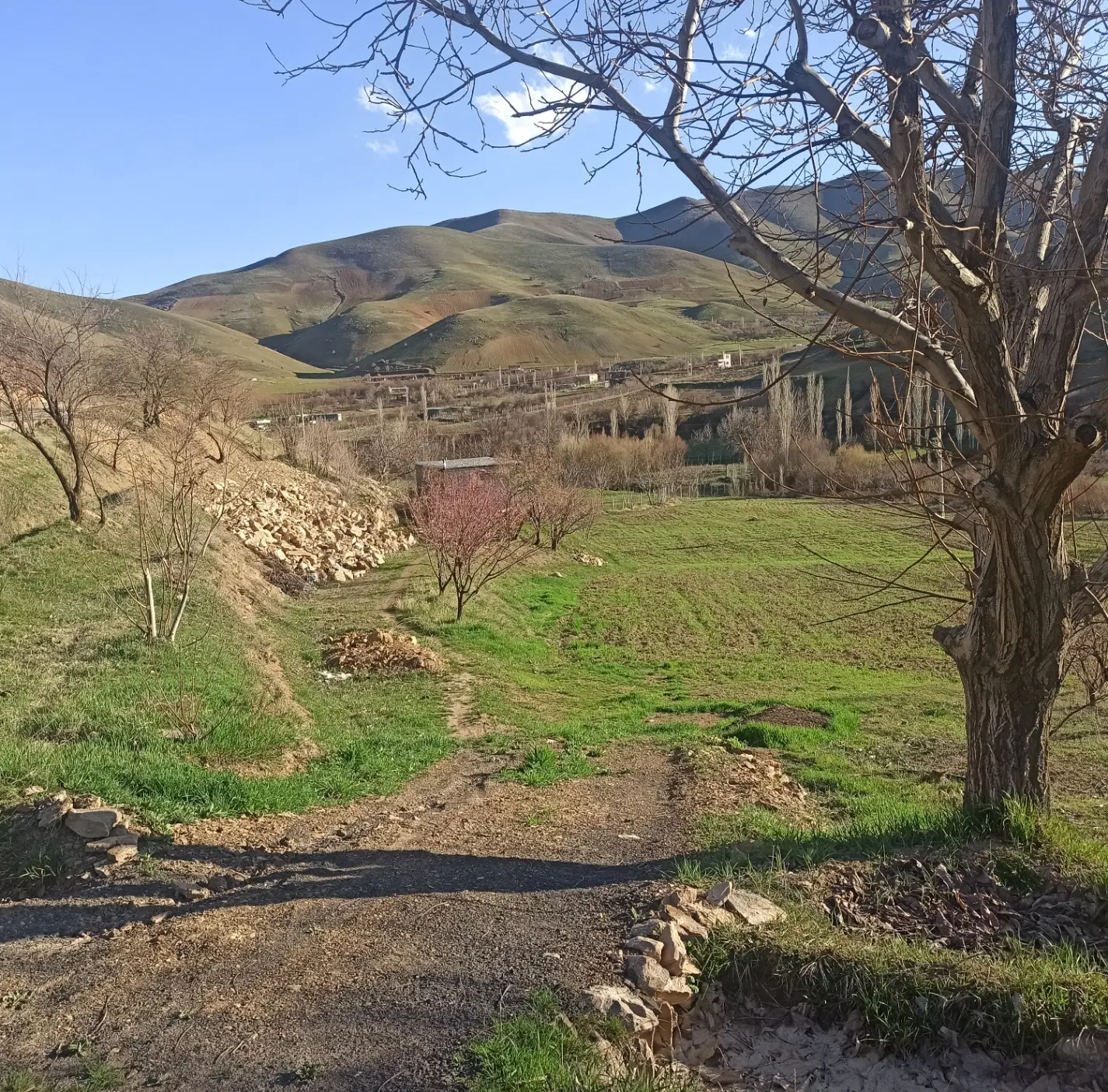 رهن واجاره زمین کشاورزی
