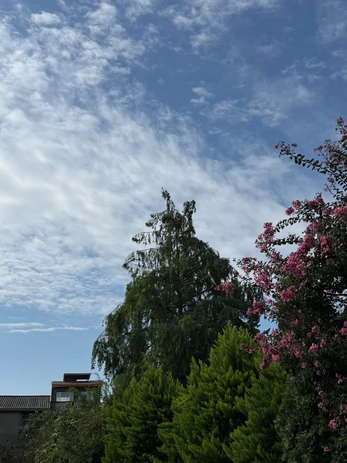 زمین