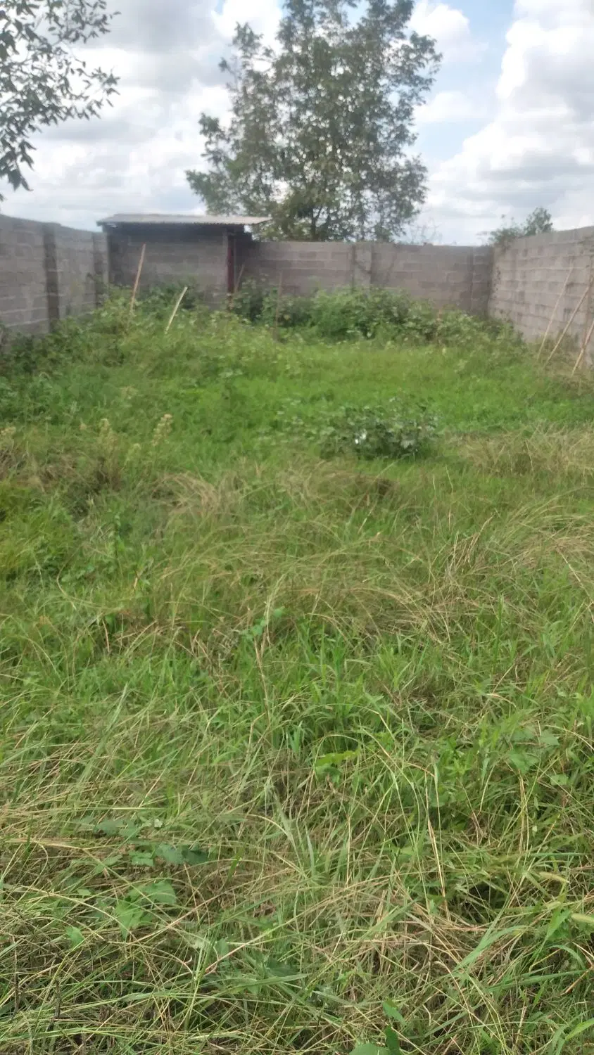 زمین ّباغی