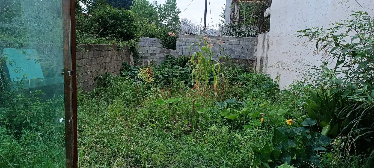 فروش زمین شهری در کمربندی لاهیجان