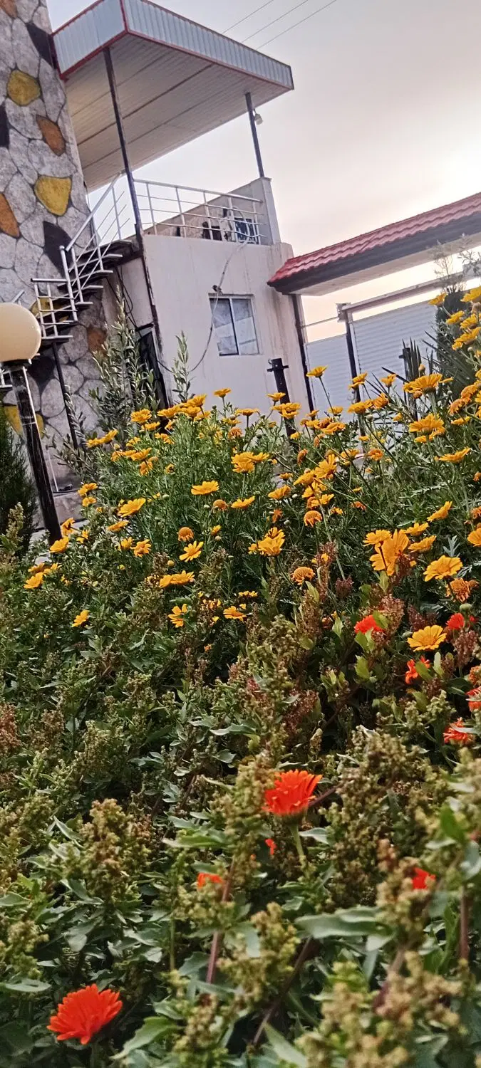 باغ ، باغچه انار