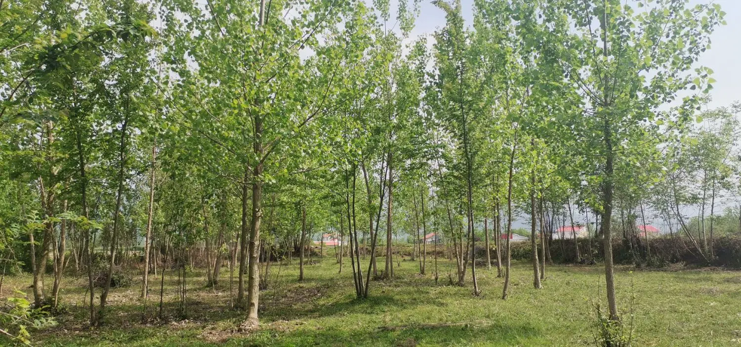 زمین مسکونی