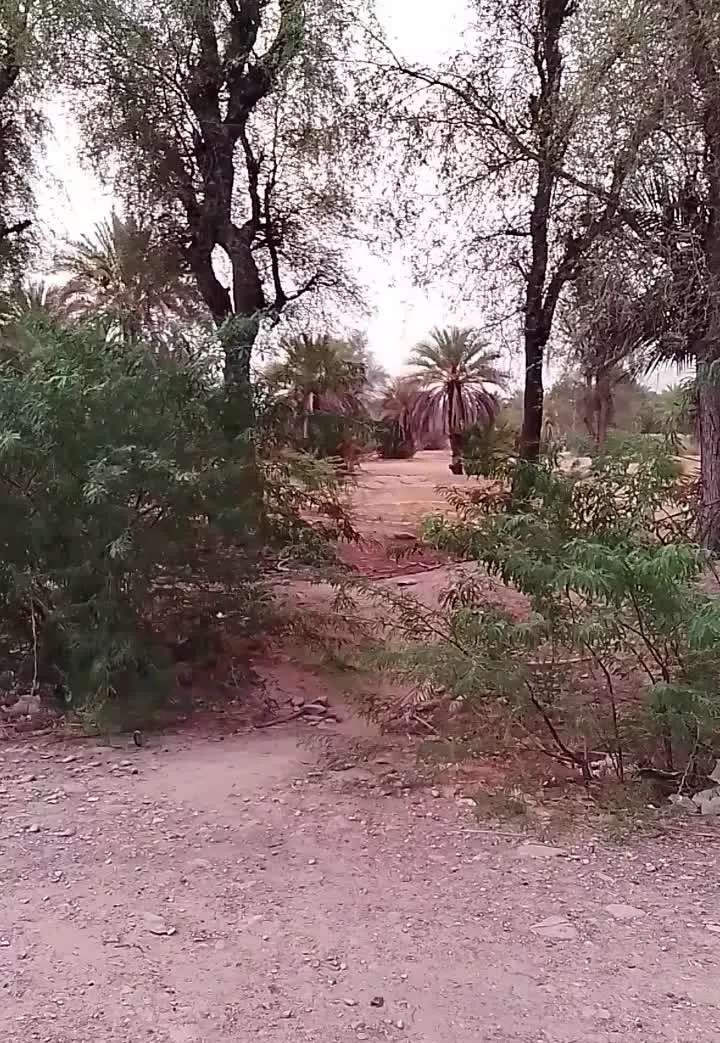 زمین مسکونی و تجاری