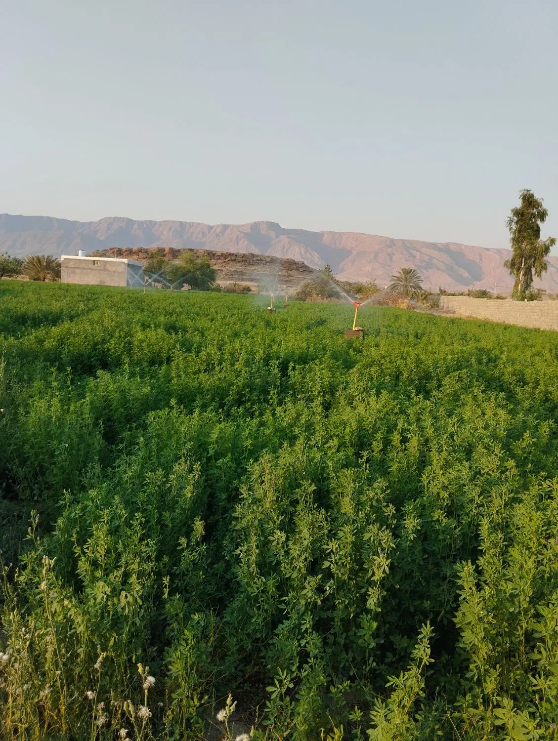 فروش ۳۰۰۰ متر زمین با آب و برق مناسب باغ شهری