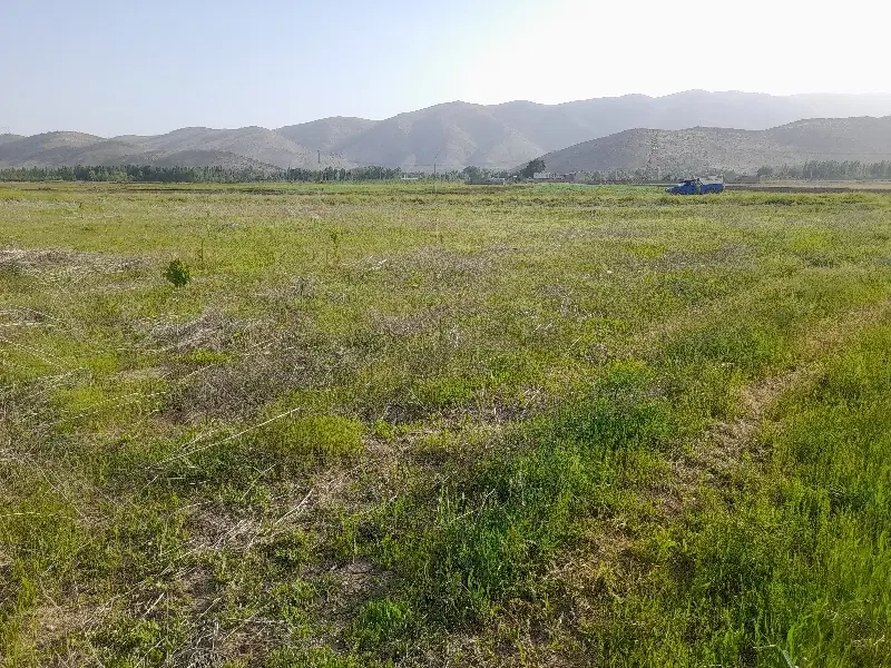 فروش زمین