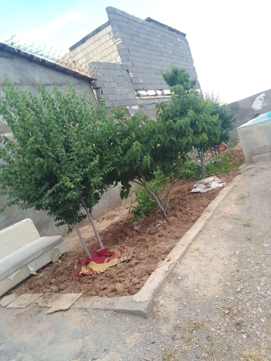 باقچه ۲۰۰ متری محله خوب واقع در گنبدواز