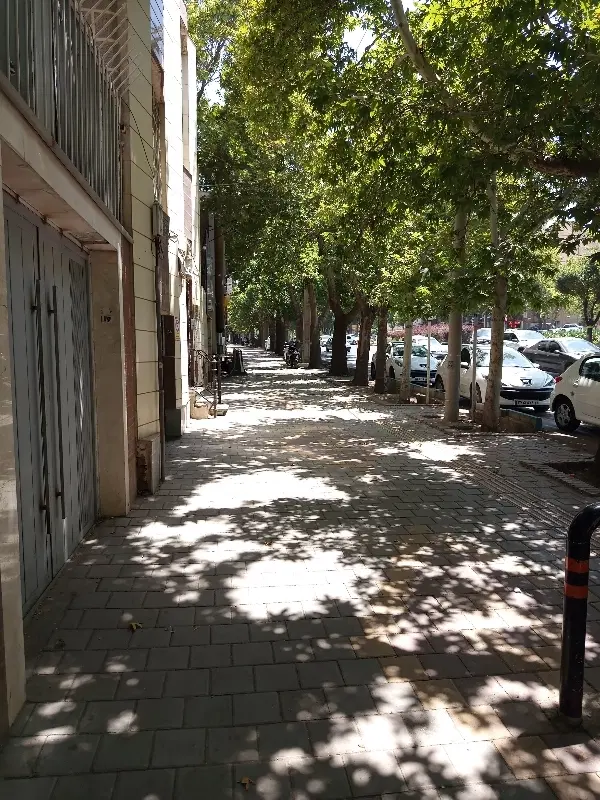 مورد اجاره یک باب مغازه