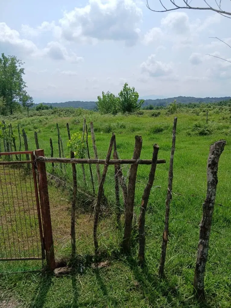 رامسر ۹۰۰متری